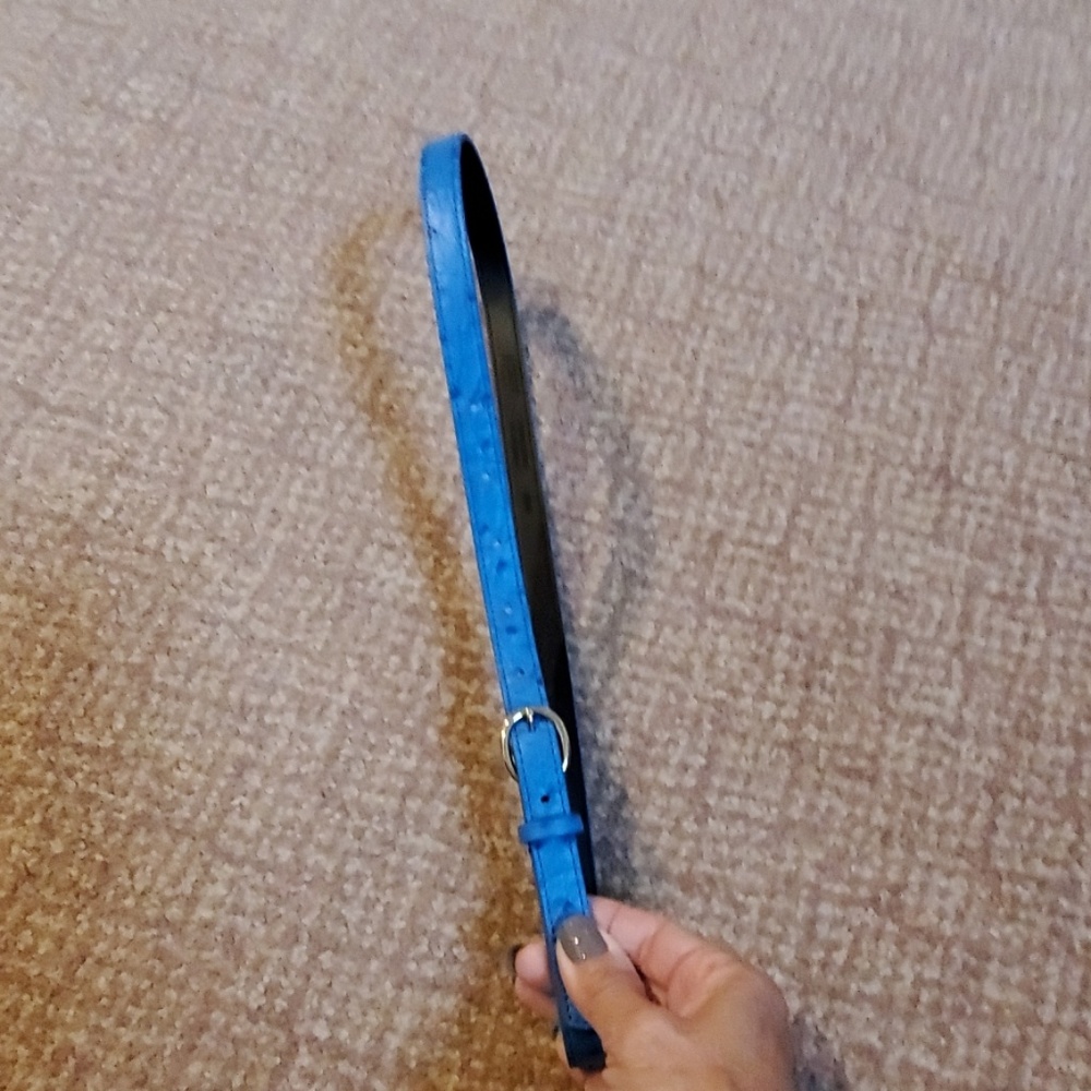 Belt